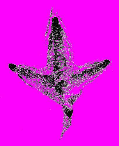 А.Н. Формозов Спутник следопыта - _141.jpg