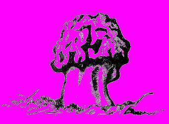 А.Н. Формозов Спутник следопыта - _170.jpg