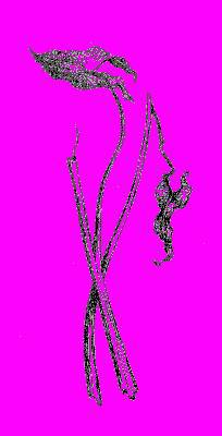 А.Н. Формозов Спутник следопыта - _191.jpg