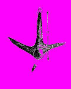 А.Н. Формозов Спутник следопыта - _207.jpg