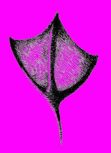 А.Н. Формозов Спутник следопыта - _231.jpg