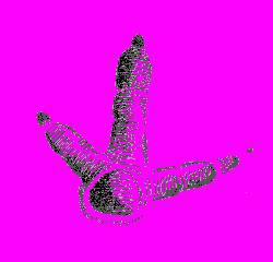 А.Н. Формозов Спутник следопыта - _294.jpg