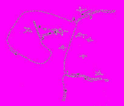 А.Н. Формозов Спутник следопыта - _30.jpg