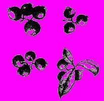 А.Н. Формозов Спутник следопыта - _341.jpg