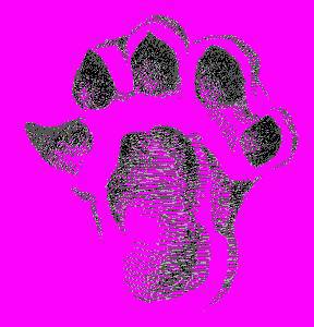 А.Н. Формозов Спутник следопыта - _64.jpg