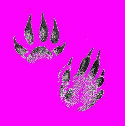 А.Н. Формозов Спутник следопыта - _71.jpg