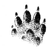 А.Н. Формозов Спутник следопыта - _72.jpg