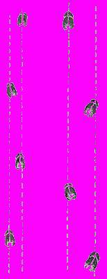 А.Н. Формозов Спутник следопыта - _89.jpg