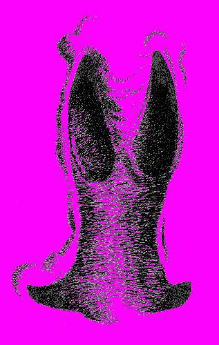 А.Н. Формозов Спутник следопыта - _93.jpg