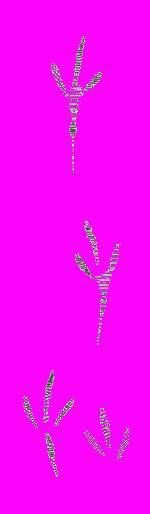 А.Н. Формозов Спутник следопыта - _192.jpg