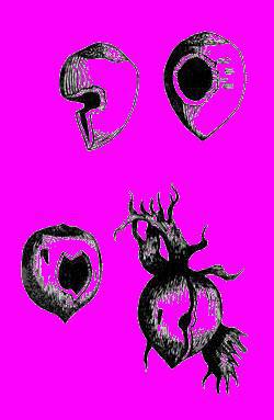 А.Н. Формозов Спутник следопыта - _239.jpg