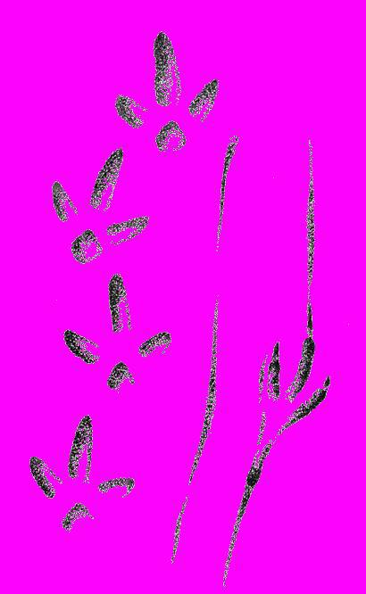 А.Н. Формозов Спутник следопыта - _291.jpg