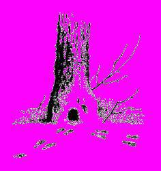 А.Н. Формозов Спутник следопыта - _339.jpg