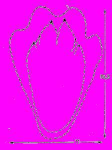 А.Н. Формозов Спутник следопыта - _37.jpg