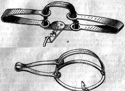 Лисица - img_20.png