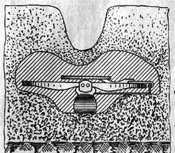 Лисица - img_24.png