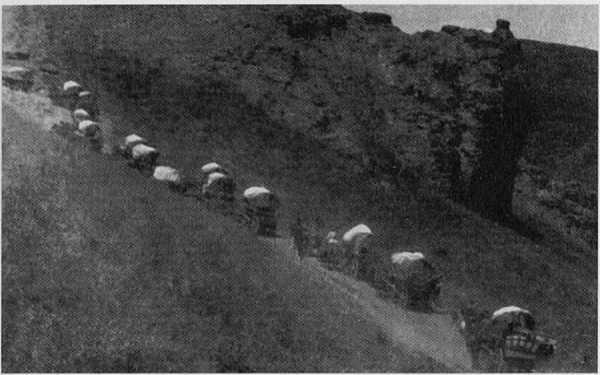 Казаки в Персии 1909-1918 - _15.jpg