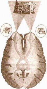 Эффективные методы улучшения зрения. Для работающих на компьютере - i_029.jpg