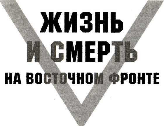 Кровавое безумие Восточного фронта. Воспоминания пехотинца и артиллериста Вермахта - image2.jpg