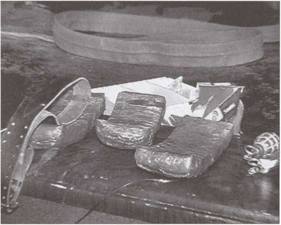 Террор на пороге - i_037.jpg