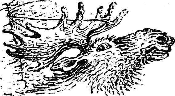 Крайняя изба - img_15.jpeg