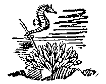 Подводный мир - image_032.png