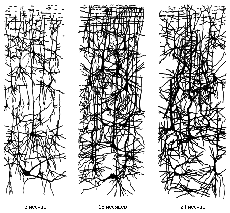 Как мы видим то, что видим - img3DD.png
