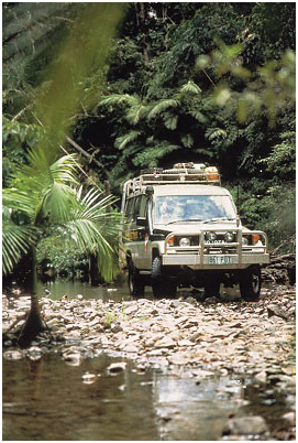 Как мы видим то, что видим - img8B5A.png