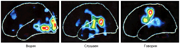 Как мы видим то, что видим - imgD9B7.png