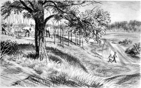 На берегах Себерянки - i_019.jpg