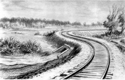 На берегах Себерянки - i_020.jpg