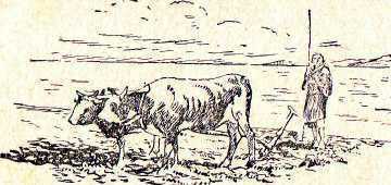 История Древнего Востока - i_004.jpg