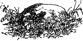 Трое отважных - i_023.png