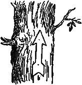 Трое отважных - i_027.png