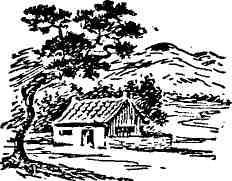 Твои ровесники - img_14.jpeg