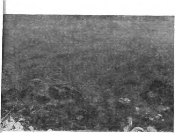 Открытие затонувшего мира - image37.jpg