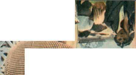 Выходной день Олега Попова - image23.jpg