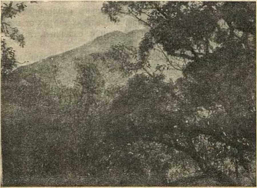 В сердце Африки - _19.jpg