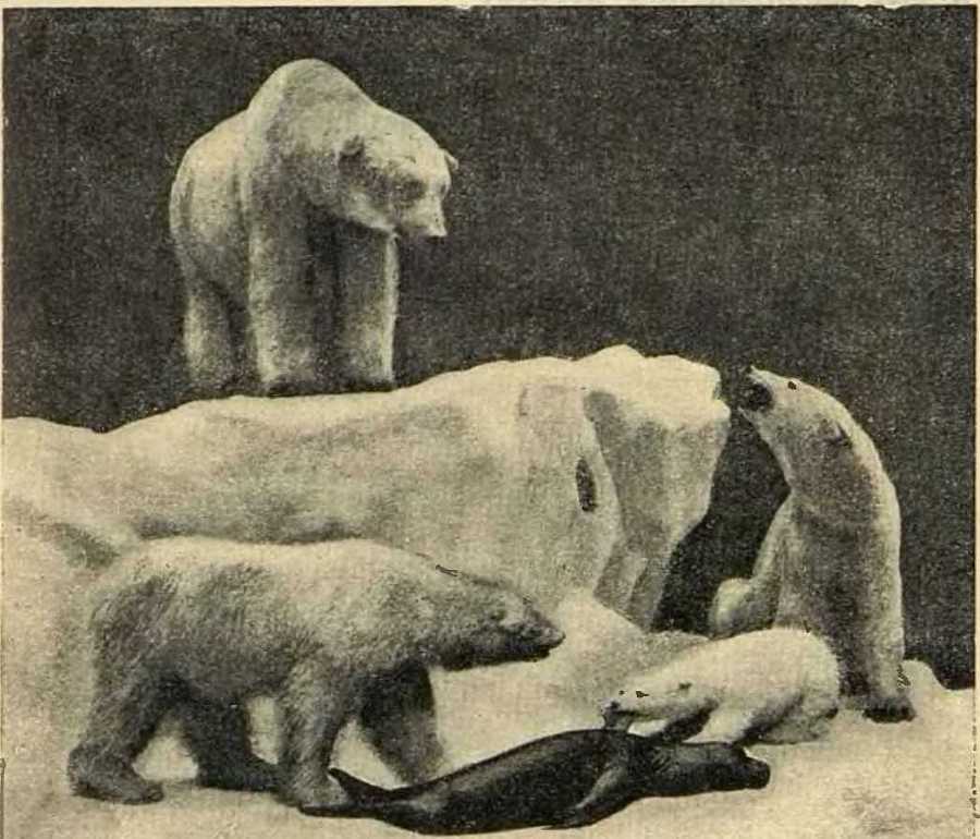 В сердце Африки - _9.jpg