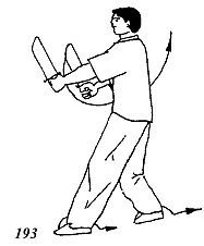 Энциклопедия ВИН ЧУН КУНГ-ФУ. Кн.6. Техника мечей-бабочек 