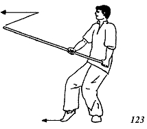 Энциклопедия ВИН ЧУН КУНГ-ФУ. Кн.5. Техника шеста