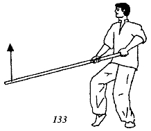 Энциклопедия ВИН ЧУН КУНГ-ФУ. Кн.5. Техника шеста