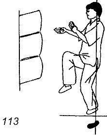 Энциклопедия ВИН ЧУН КУНГ-ФУ. Кн.4. Методы тренировки - _113.jpg