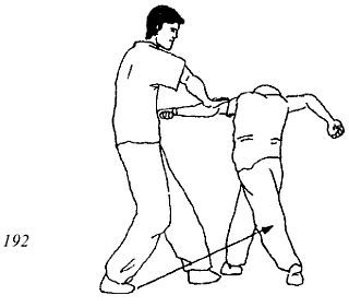 Энциклопедия ВИН ЧУН КУНГ-ФУ. Кн.4. Методы тренировки - _192.jpg