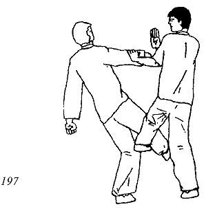 Энциклопедия ВИН ЧУН КУНГ-ФУ. Кн.4. Методы тренировки - _197.jpg