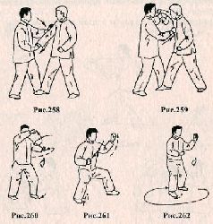 Пао Чуй-пушечные удары - pic_99.jpg