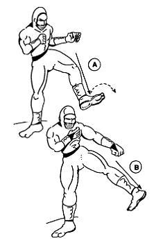 Девять залов смерти. Секреты мастерства ниндзя - _15.jpg