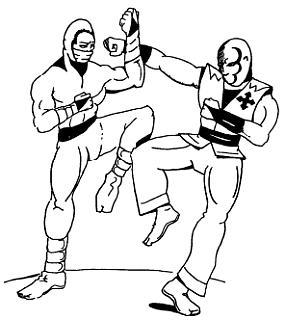 Девять залов смерти. Секреты мастерства ниндзя - _16.jpg