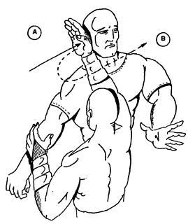 Девять залов смерти. Секреты мастерства ниндзя - _22.jpg