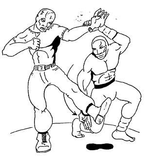 Девять залов смерти. Секреты мастерства ниндзя - _46.jpg